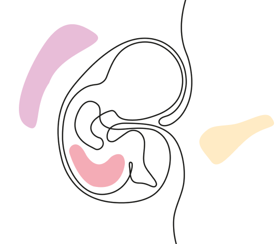 A.Eggbank - Welcome A.EggBank is Committed to Meeting Your Unique Desires